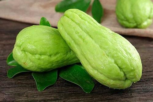 佛手瓜没虫吃,绿色种植新篇章