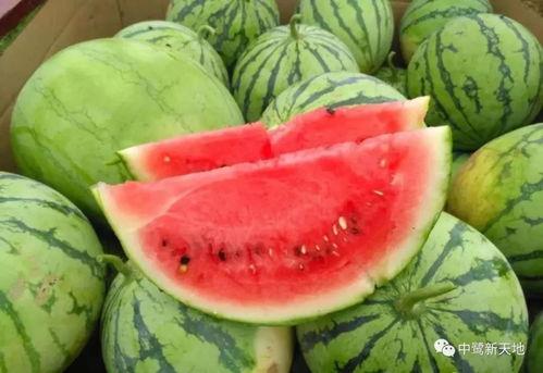 今天也是吃瓜微