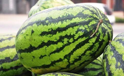 湖北江西吃瓜,两地特色美食大比拼