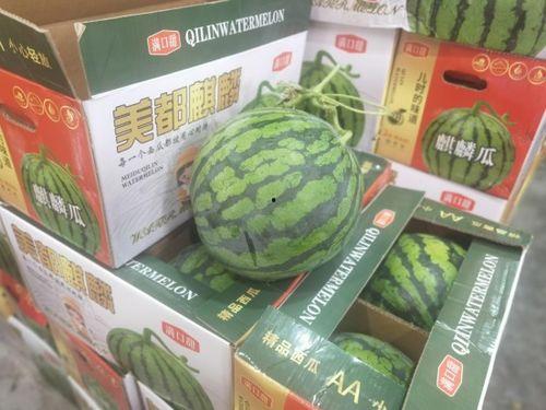 温州吃瓜网站,揭秘本地热点事件，带你领略温州风土人情