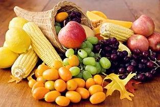 晴天家族吃瓜,瓜田里的欢乐时光