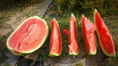 穆棱市吃瓜,瓜果飘香，品味生活新篇章