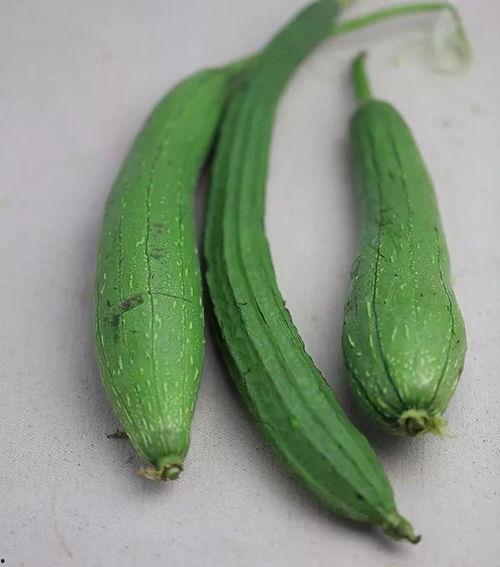 小史店吃瓜,一场别开生面的吃瓜盛宴