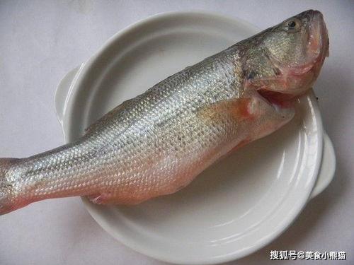 白土瓜和鱼可以一起吃吗,探究两者相容性之谜