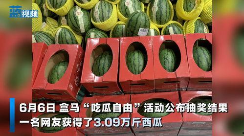 盒马吃新瓜,夏日美味尽享时光