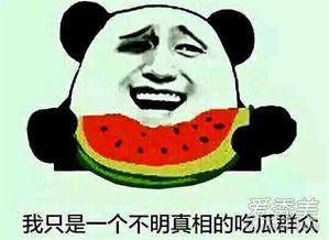 吃瓜吃大了啥意思,揭秘网络热议背后的真相与反思